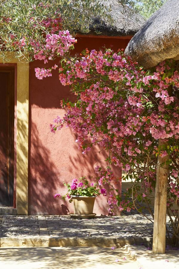 Hotel Hacienda De San Rafael Las Cabezas de San Juan Exteriér fotografie